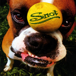 Album artwork