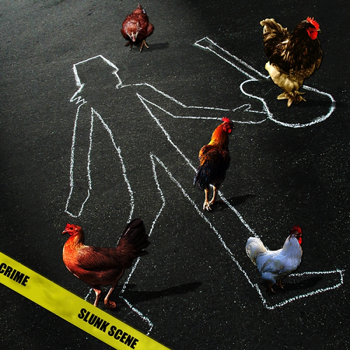 Album artwork
